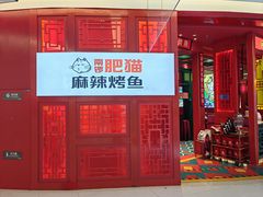 -南锣肥猫·麻辣烤鱼·16年现烤现卖(财富购物中心店)