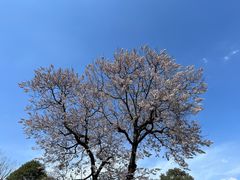 -成都市文化公园