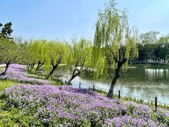 -尚湖风景区