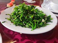 -途肴·老农饭庄(百里峡店)