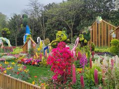 -上海共青森林公园