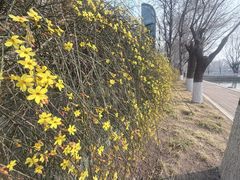 -中国农业博物馆