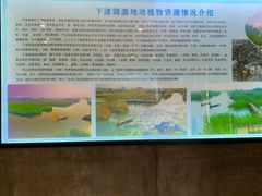 -下渚湖国家湿地公园科普馆