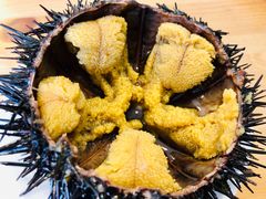 -海胆小馆(东北水饺·春柳店)