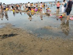 -碧海金沙