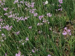 -东钱湖小普陀景区