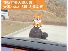 -甘加秘境
