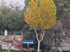 -武汉马哥孛罗酒店