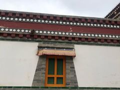 -塔尔寺-菩提树