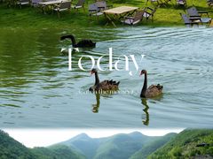 -静之湖度假区