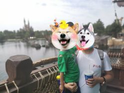 -翱翔飞越地平线