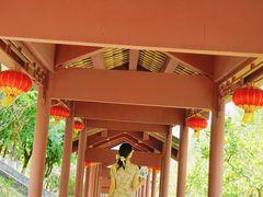 -广州神农草堂中医药博物馆