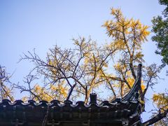 -惠山古镇·寄畅园