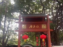 -荔湾湖公园