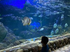 -华夏文旅海洋公园