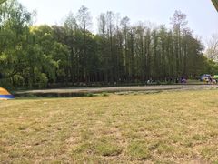 -上海海湾国家森林公园