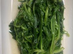 -云中小雅