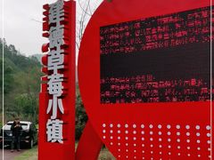 -建德果蔬乐园绪塘草莓基地