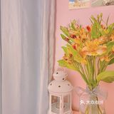 #治愈系.花#