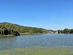 -长广溪湿地公园