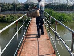 -马陆小张葡萄园农家乐