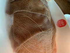 -九鼎轩脆毛肚火锅(铜山万达店)