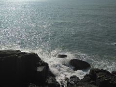 -枸杞岛