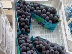 -马陆小张葡萄园农家乐