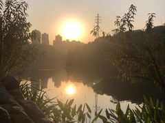 -重庆彩云湖湿地公园
