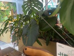 -龙治汉堡(中华城店)