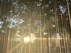 -观澜湖生态运动公社