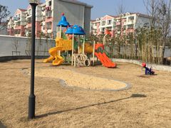 -宏泰园蔬果专业合作社