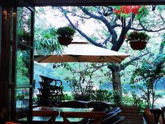 -缘生态云南菜·野生菌庭院餐厅(华侨城店)