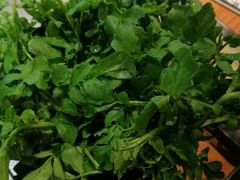 -东椰·海南椰子鸡火锅(朝阳门店)