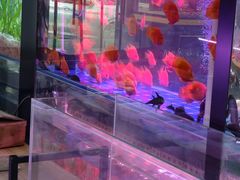 -双季花艺园艺市场(浦东店)