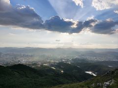 -长虫山生态公园风景林