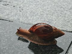 -深圳市人才园(深南大道店)