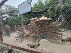 -南昌动物园