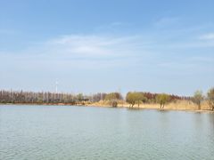 -溱湖国家湿地公园