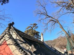 -潭柘寺景区