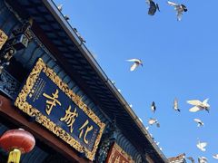 -九华山风景区