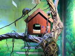 -华夏文旅海洋公园