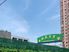 -曲阳花鸟市场(曲阳路店)