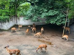 景点-台州府城(江南长城)