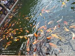 -宝墨园景区