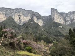 -鹿院坪生态旅游景区
