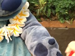 -小镇影院迪士尼小熊Duffy与他的朋友合影地