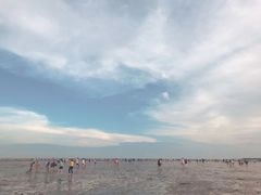 -奉贤海滩
