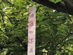 -西安大兴善寺