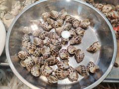 -鲜鲜·鲅鱼圈海鲜(于洪店)